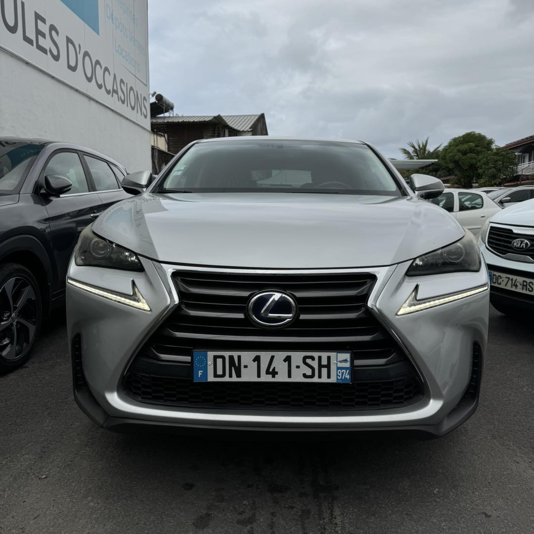 LEXUS NX 300H