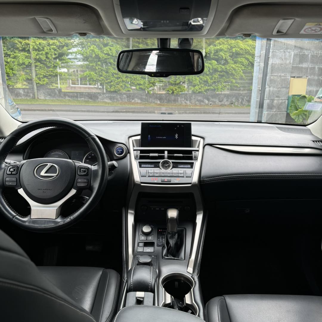 LEXUS NX 300H