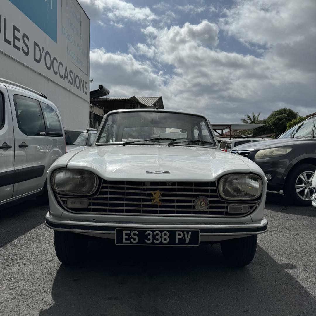 PEUGEOT 204